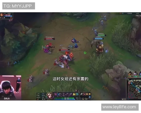 赛后复盘：TES与RNG的对决速度分析与战术探讨